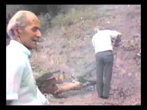 Βίντεο 1989